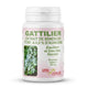 Gattilier 250mg en gélules - flacon de 60 capsules Vital Osmose sur fond blanc