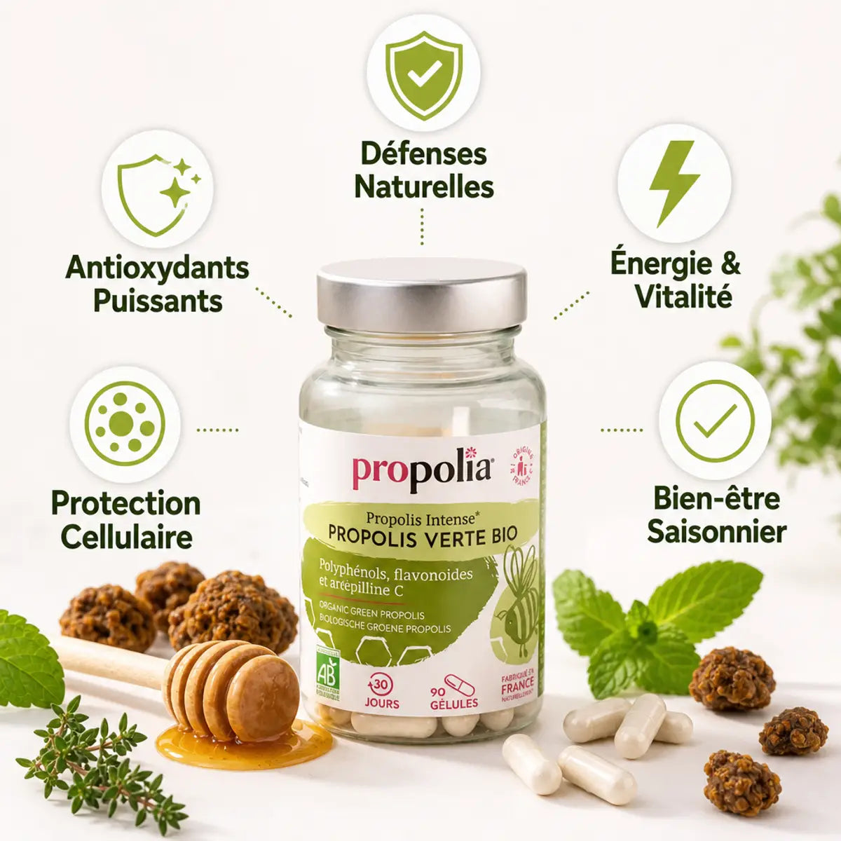 Gélules propolis verte bio Propolia avec bénéfices : défenses naturelles, antioxydants, énergie et protection cellulaire