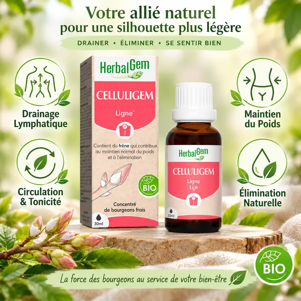 Celluligem bio HerbalGem avec bénéfices drainage lymphatique, circulation et élimination naturelle