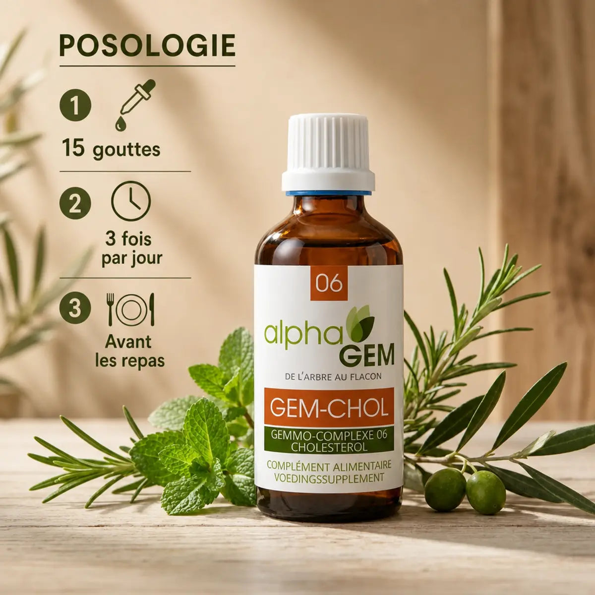 Gemmo-complexe Cholestérol Bio Alphagem avec posologie 15 gouttes 3 fois par jour et herbes naturelles