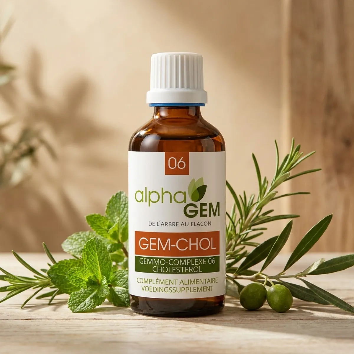 Flacon Gemmo-complexe Cholestérol Bio GEM-CHOL 50ml Alphagem avec plantes naturelles