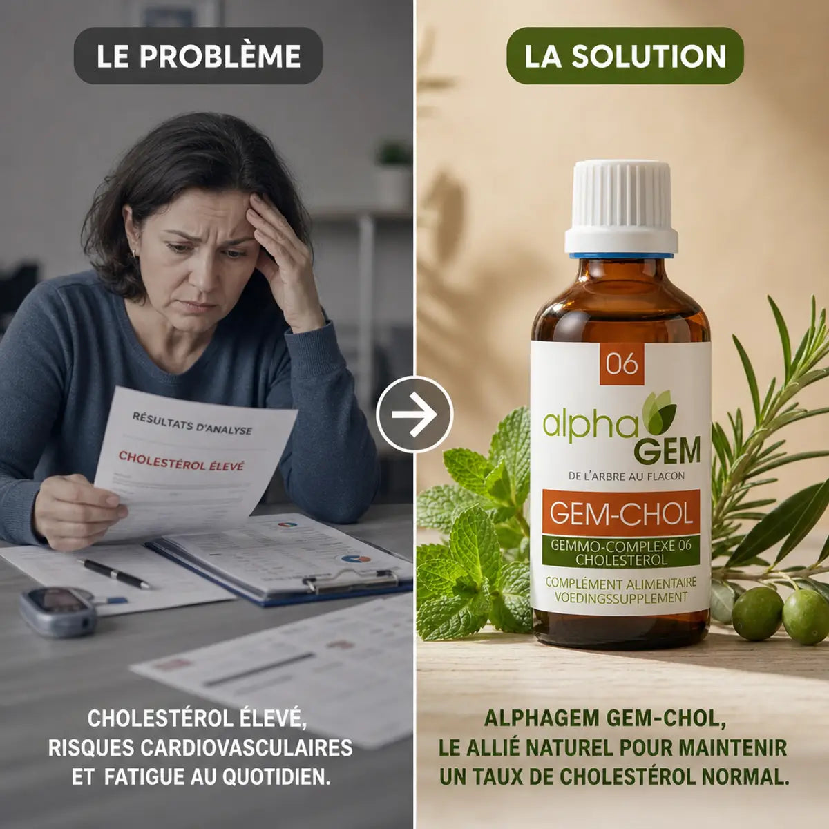Gemmo-complexe Cholestérol Bio Alphagem GEM-CHOL avec ingrédients naturels, solution problème cholestérol
