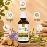 GEM-COLON Gemmo-complexe confort intestinal Bio avec bénéfices digestion et bien-être