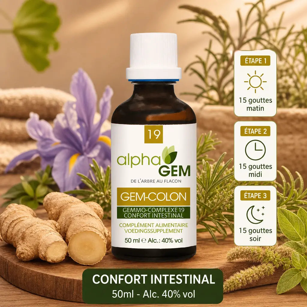GEM-COLON 50ml Alphagem - Gemmo-complexe confort intestinal bio avec posologie 3x15 gouttes
