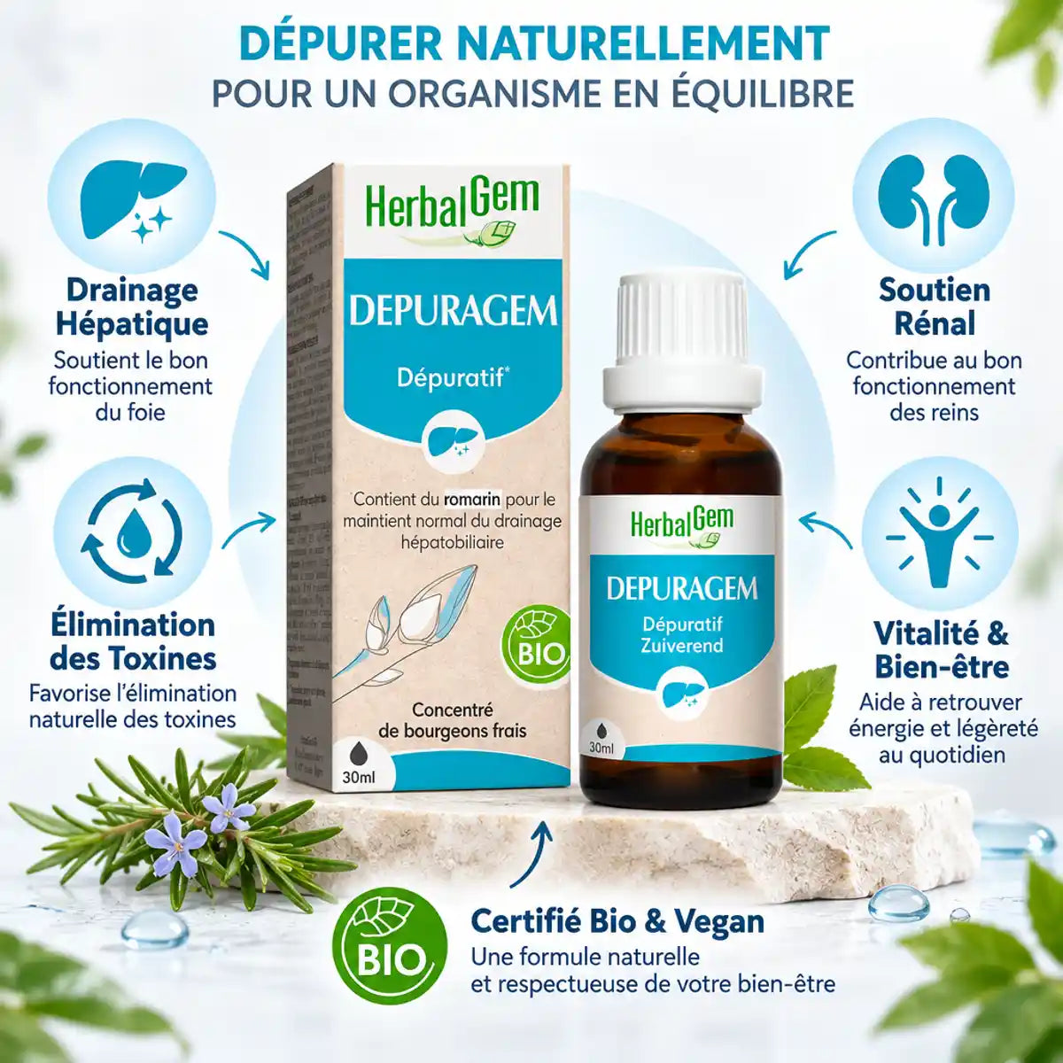 Gemmo-complexe Depuragem bio vegan HerbalGem avec bénéfices drainage hépatique et détoxification