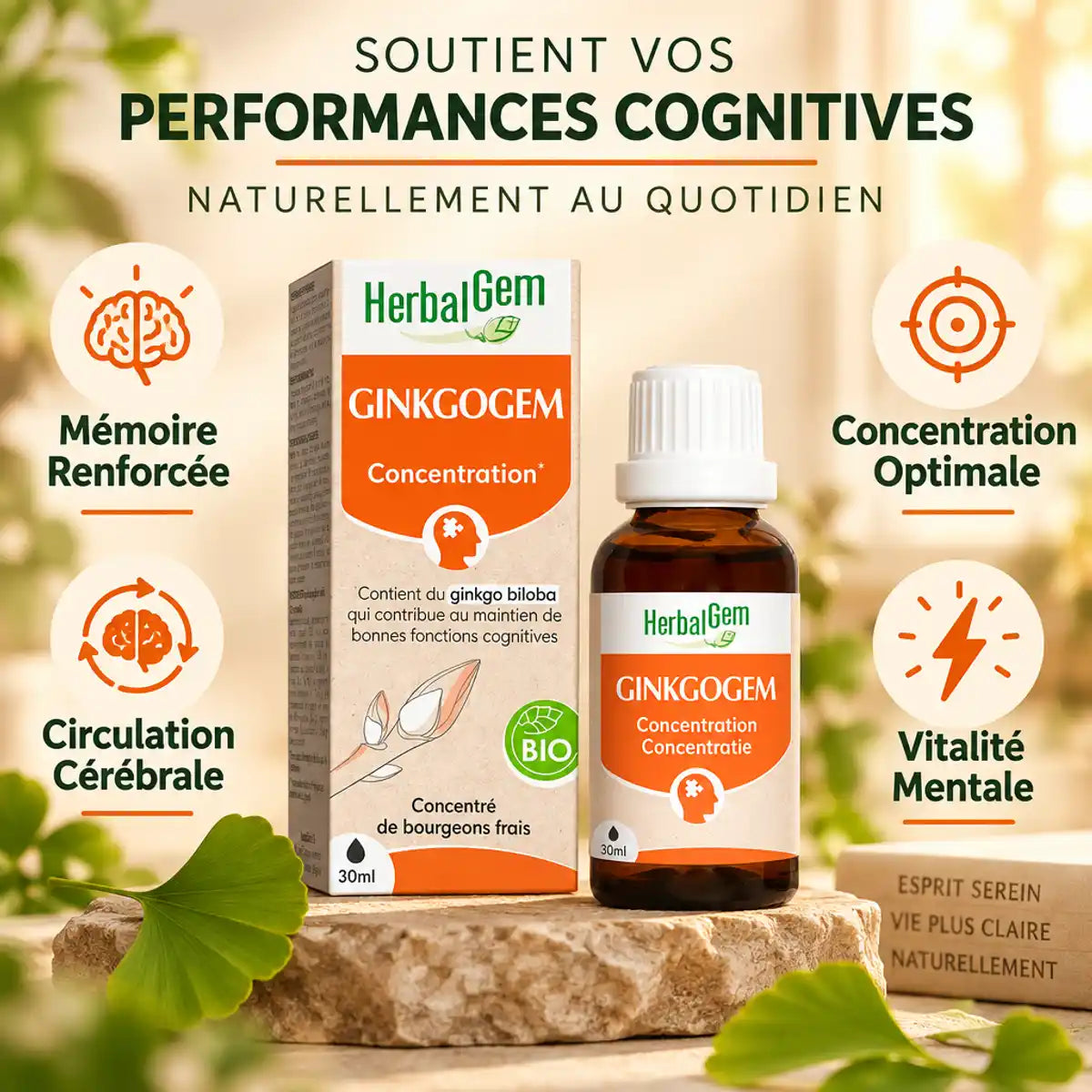 Ginkgogem HerbalGem bio avec bénéfices : mémoire, concentration, circulation cérébrale et vitalité mentale