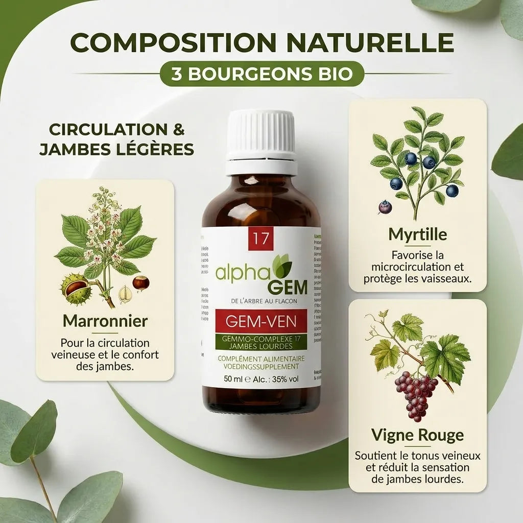 Gemmo-complexe GEM-VEN Alphagem jambes lourdes bio avec marronnier, myrtille et vigne rouge
