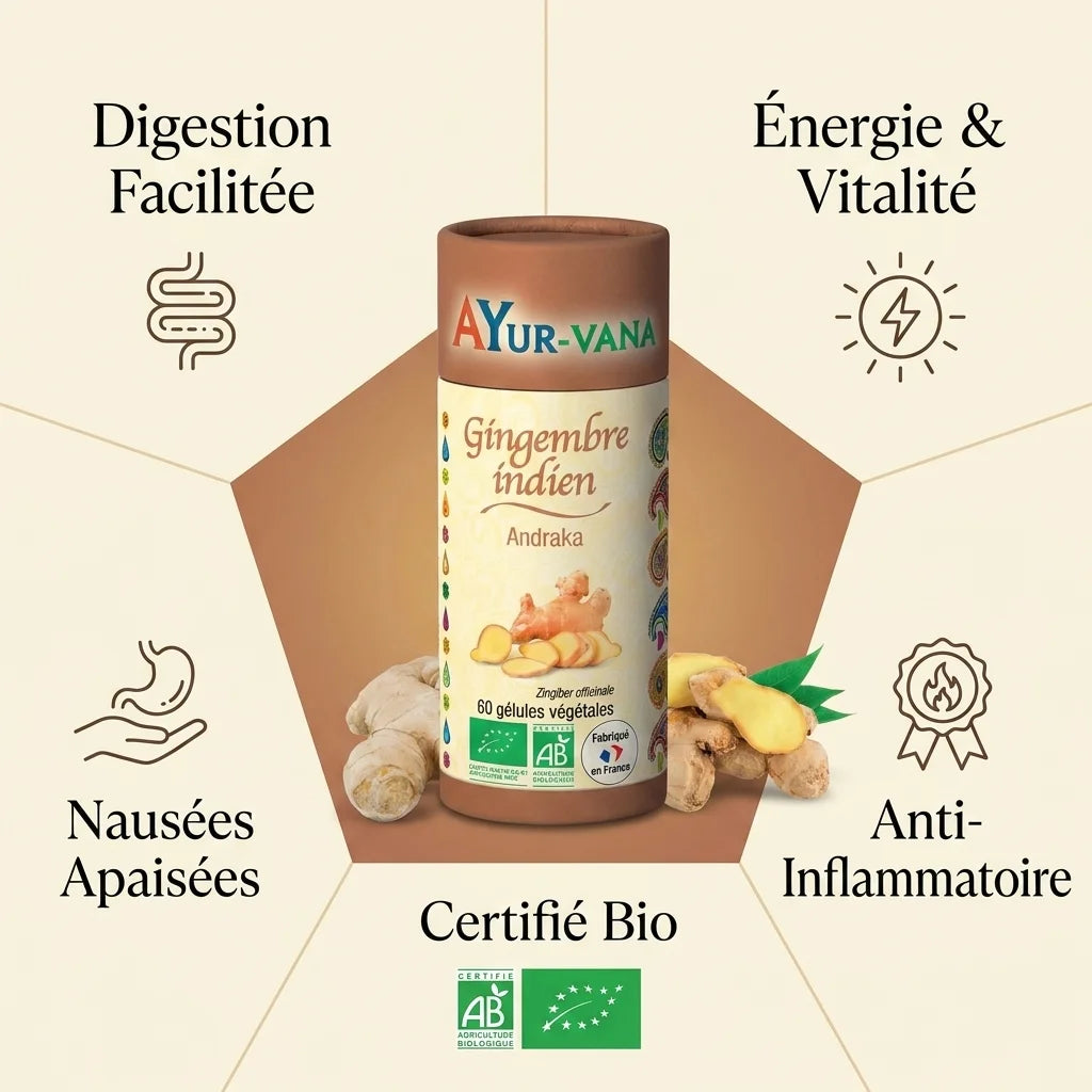 Gingembre indien bio Ayurvana en gélules avec bénéfices : digestion, énergie, nausées, anti-inflammatoire