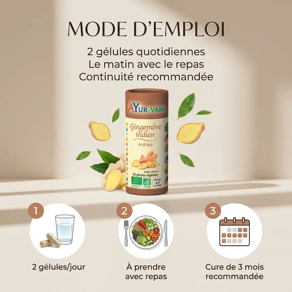 Gingembre indien bio Ayurvana en gélules avec posologie : 2 par jour pendant 3 mois