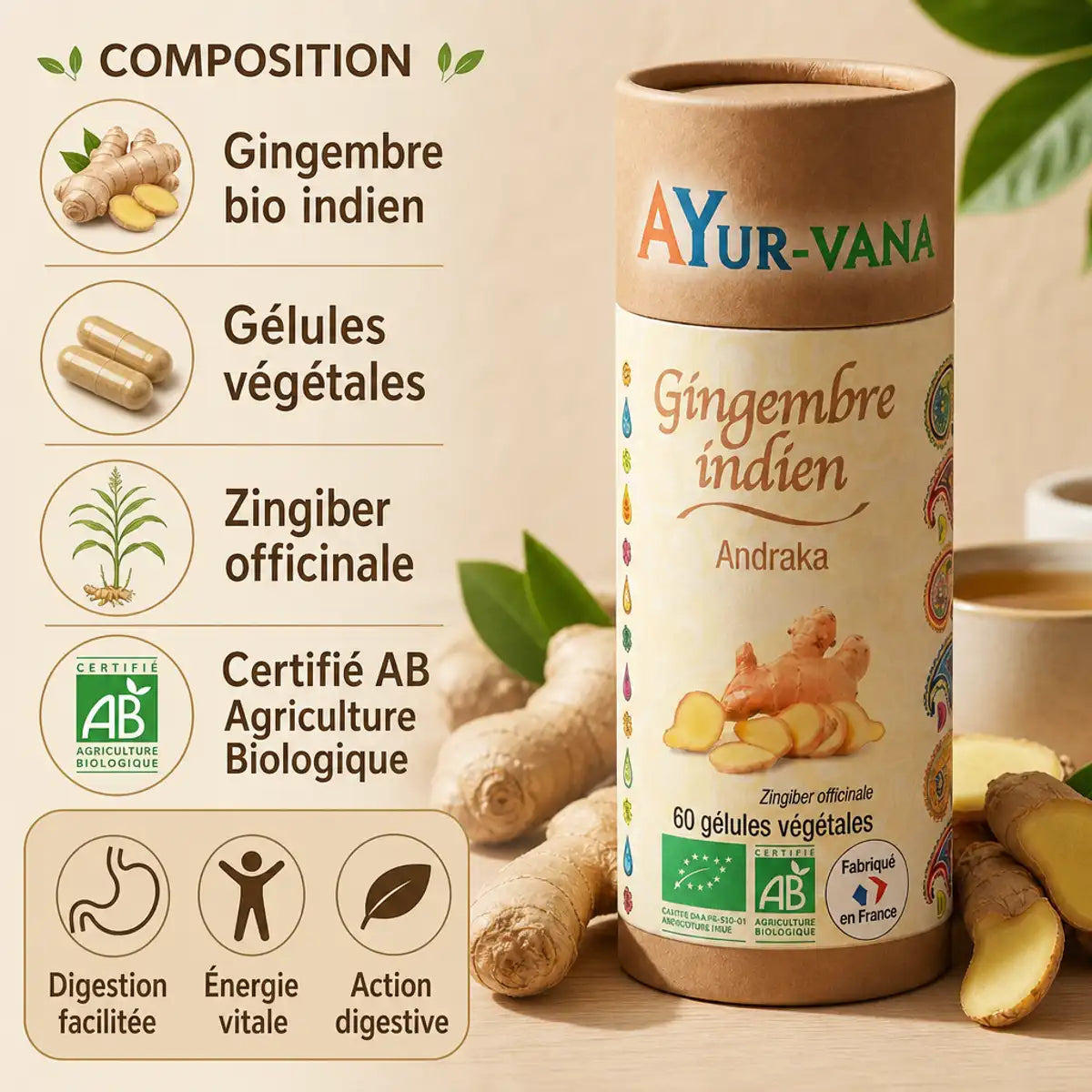 Gélules de gingembre indien bio Ayurvana avec racines fraiches et infographie des bénéfices digestifs
