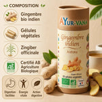 Gélules de gingembre indien bio Ayurvana avec racines fraiches et infographie des bénéfices digestifs