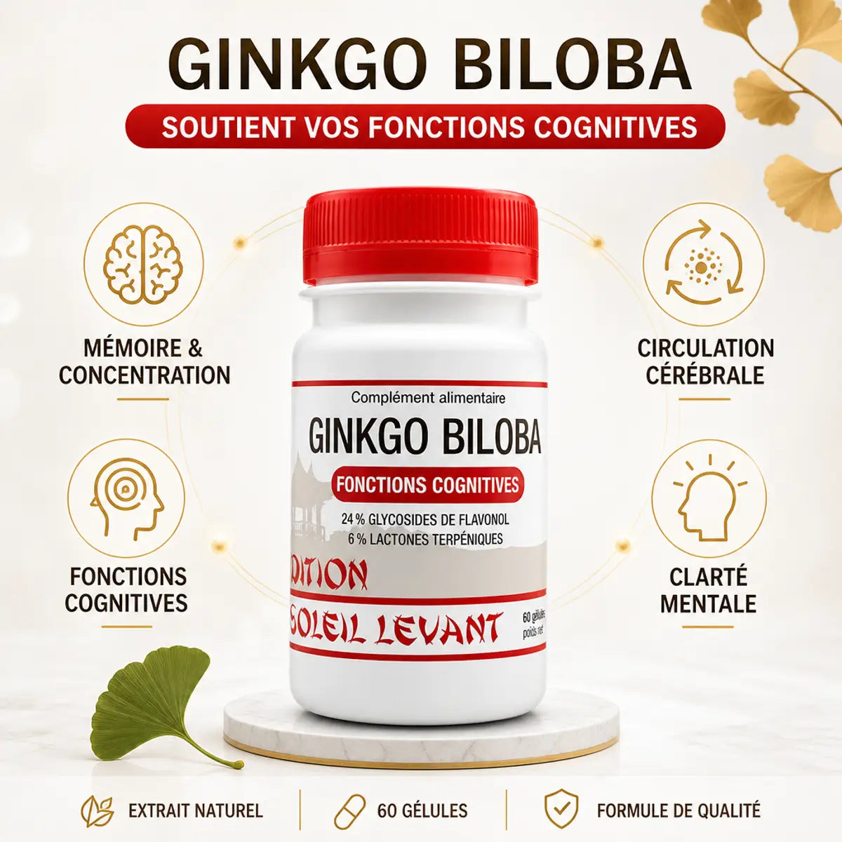 Ginkgo Biloba vegan gélules avec bénéfices: mémoire, concentration, fonctions cognitives et clarté mentale