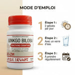 Ginkgo Biloba vegan en gélules avec mode d'emploi dosage et instructions d'utilisation