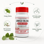 Bouteille Ginkgo Biloba vegan en gélules avec ingrédients clés et infographie éducative