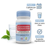Glucosamine Chondroïtine MSM gélules Code Laboratoire avec instructions posologie 2 gélules par jour