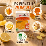 Gommes propolis bio gingembre citron Propolia - infographie bénéfices défenses naturelles