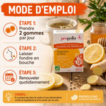Gommes propolis bio gingembre citron Propolia avec mode d'emploi et ingrédients naturels