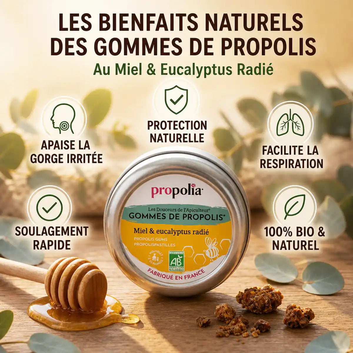 Gommes Propolia propolis miel eucalyptus bio avec icônes bénéfices : gorge, respiration, protection naturelle