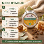 Gommes Propolis Miel Eucalyptus Bio Propolia - Mode d'emploi et utilisation