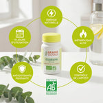 Guarana bio vegan gélules Graine Sauvage avec infographie bénéfices énergie naturelle et certification AB