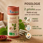 Guduchi Bio gélules Ayur-vana pour immunité et glycémie avec posologie et herbes ayurvédiques