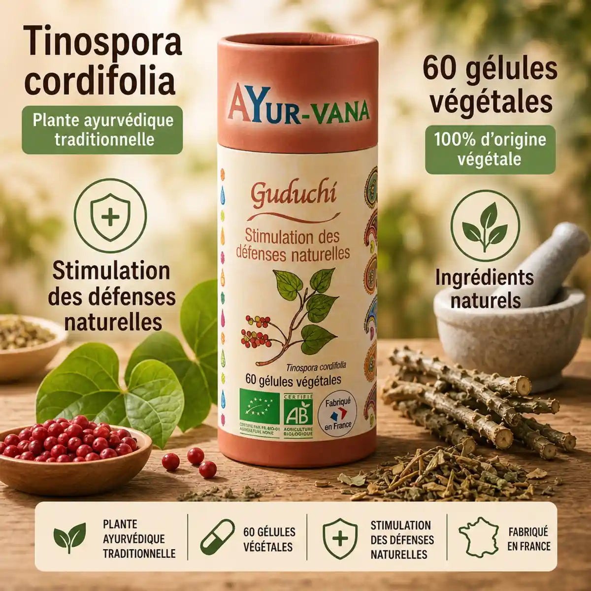 Guduchi Bio gélules Ayur-vana avec ingrédients naturels Tinospora cordifolia pour immunité et glycémie
