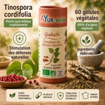 Guduchi Bio gélules Ayur-vana avec ingrédients naturels Tinospora cordifolia pour immunité et glycémie