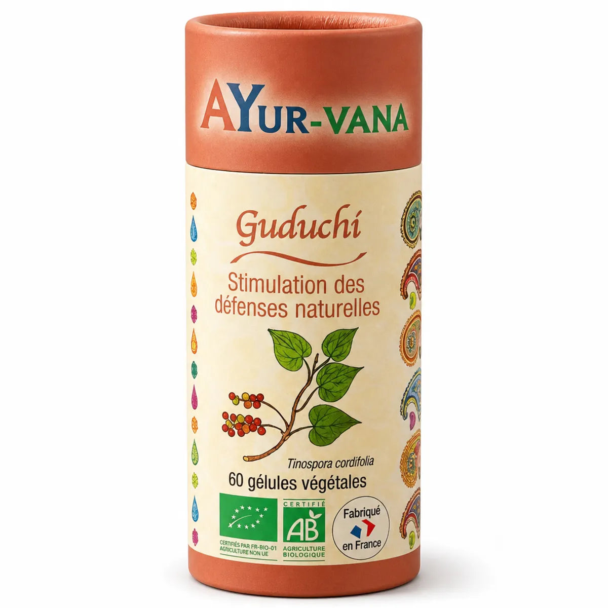 Complément Guduchi Bio Ayur-vana en gélules pour immunité et glycémie sur fond blanc
