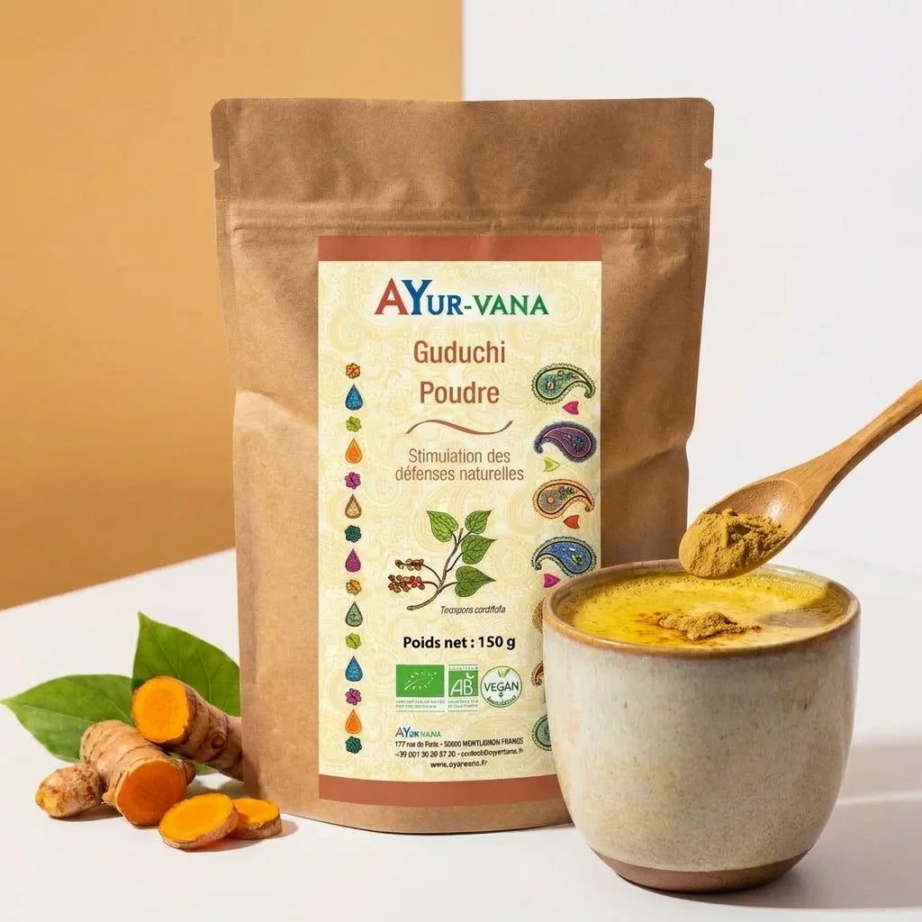 Guduchi bio en poudre Ayurvana versé dans une boisson wellness dorée avec racine de curcuma frais