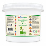 Poudre bio Gymnema Sylvestre Ayur-vana en pot blanc avec étiquette verte, fond blanc