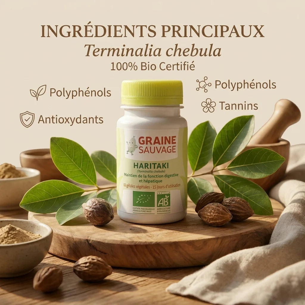 Haritaki bio en gélules GRAINE SAUVAGE avec feuilles vertes et poudre, 100% certifié bio