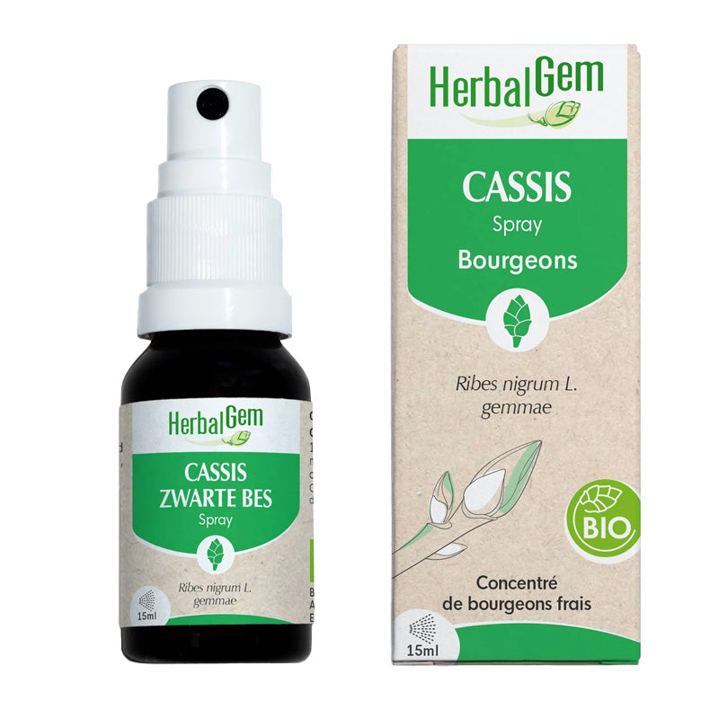 Bourgeon de cassis en spray de 15 ml de HerbalGem.