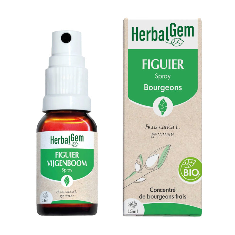 Figuier BIO de Herbalgem en format Spray de 15 ml.