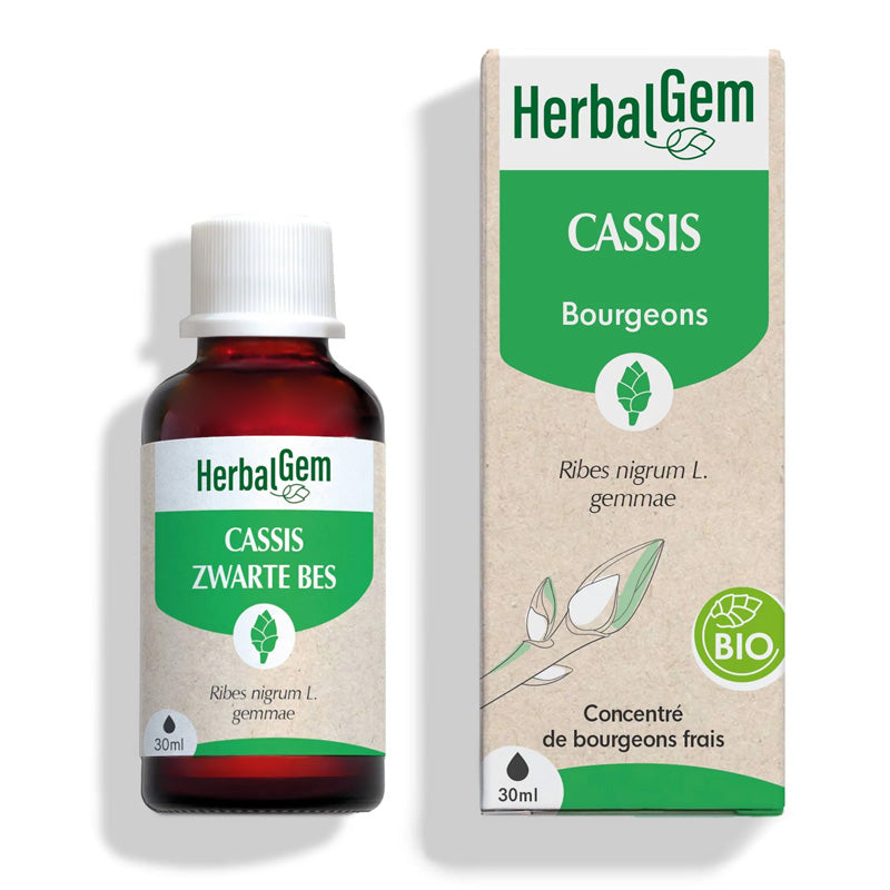 Bourgeon de Cassis bio et vegan - 30ml HerbalGem