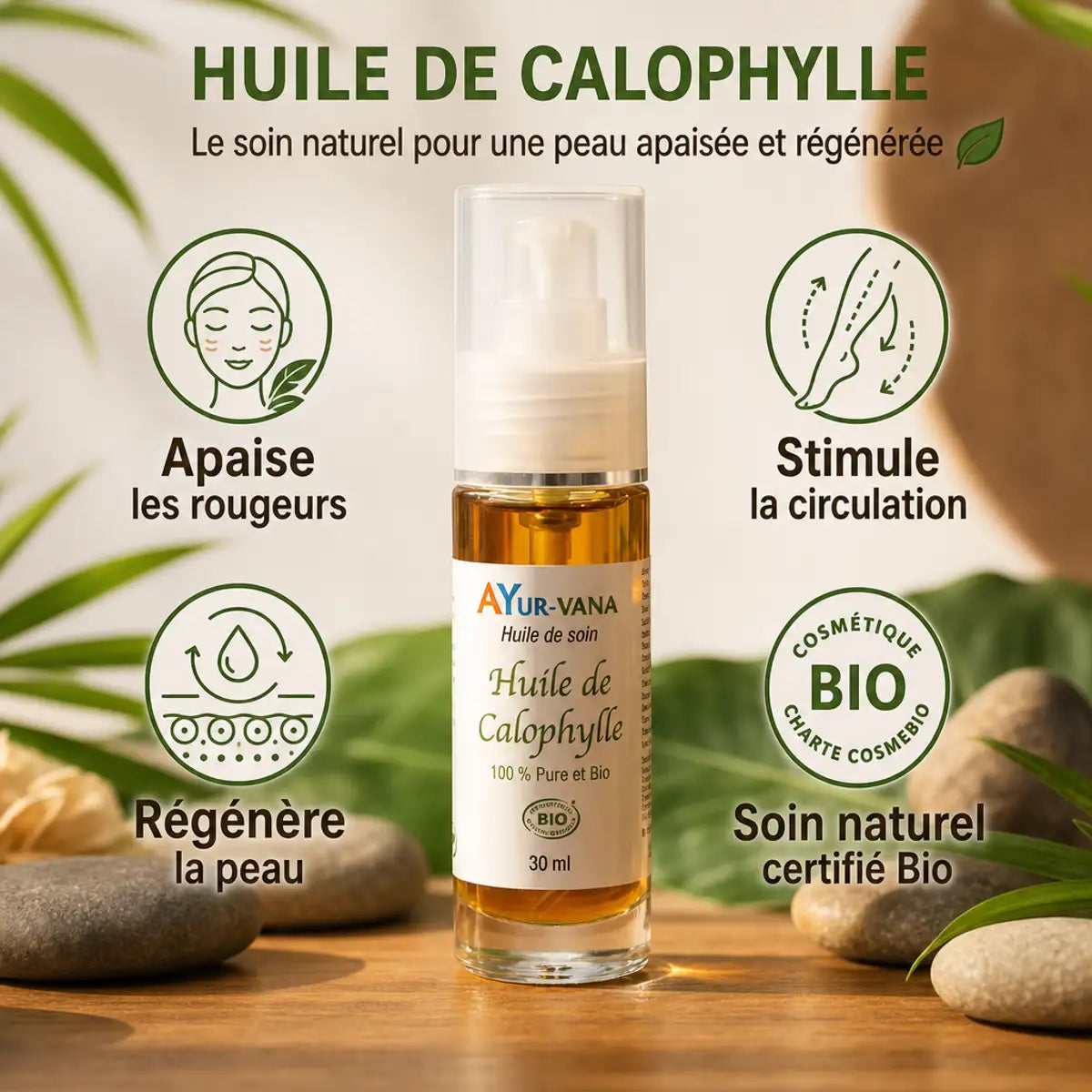 Huile de Calophylle Bio Ayurvana 30ml - Infographie bénéfices peau naturelle certifiée