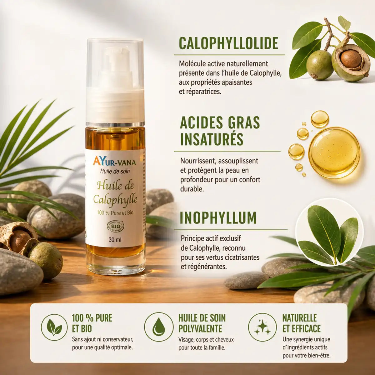 Huile de Calophylle Bio Ayurvana avec ingrédients naturels et acides gras insaturés