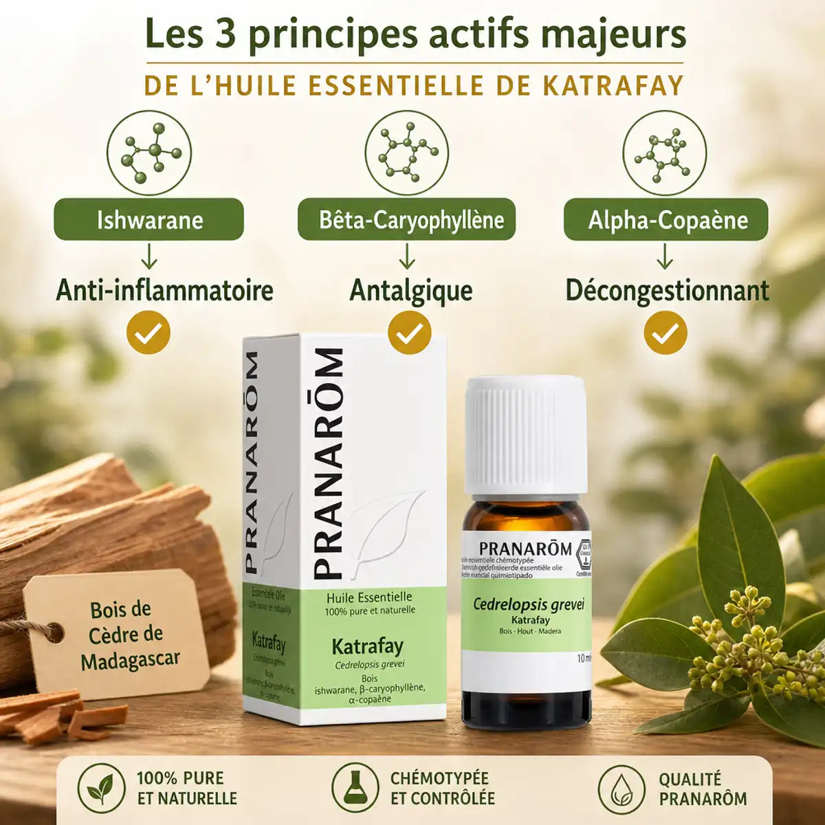 Huile essentielle bio katrafay Pranarom 10ml avec composants actifs et propriétés anti-inflammatoires