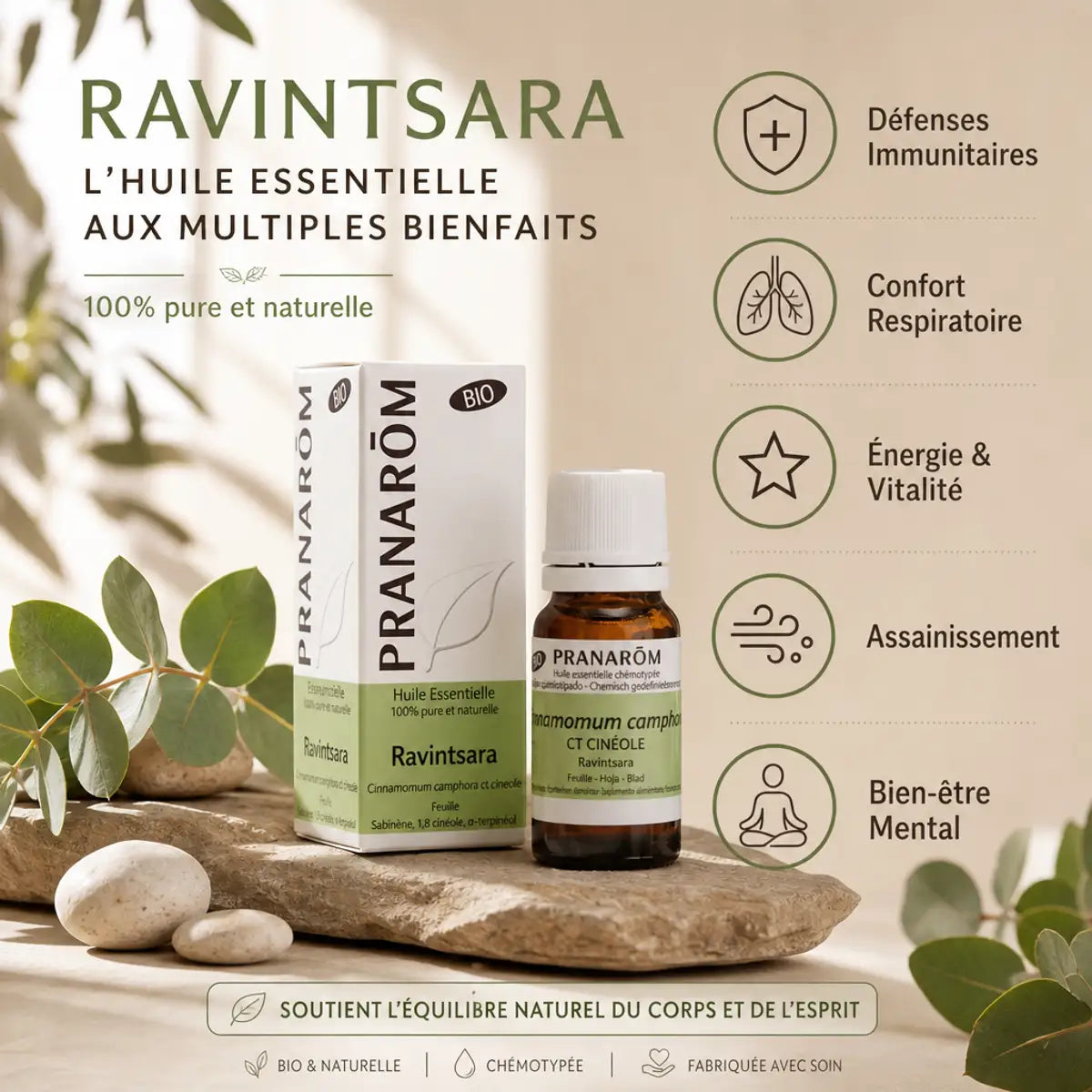 Huile essentielle ravintsara Pranarom bio avec bénéfices immunité et respiration