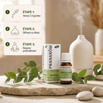 Flacon Pranarom huile essentielle bio ravintsara avec mode d'utilisation et feuilles fraîches sur fond minimaliste