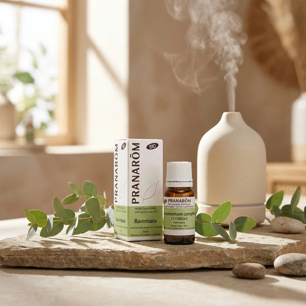 Huile essentielle bio ravintsara Pranarom avec feuilles eucalyptus et diffuseur céramique