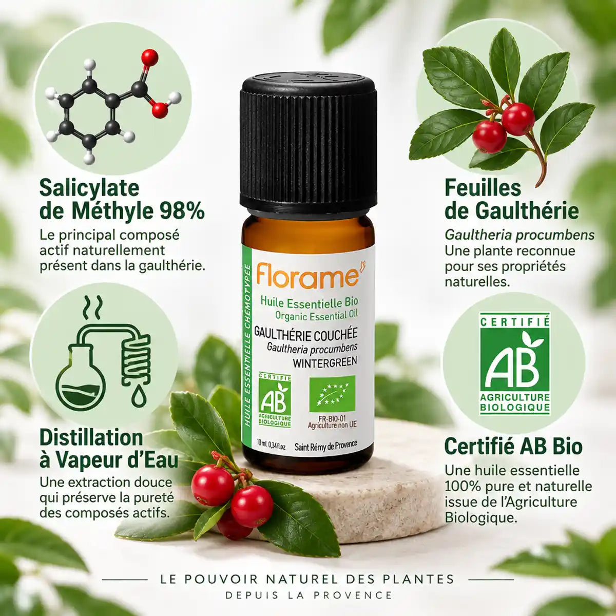 Huile essentielle Gaulthérie couchée Florame bio avec infographie ingrédients actifs certification