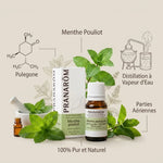 Huile essentielle Menthe pouliot Pranarom - Flacon ambré avec feuilles fraîches et infographie