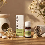 Flacon huile essentielle millefeuille Pranarom entouré de fleurs de yarrow séchées et accessoires bien-être spa