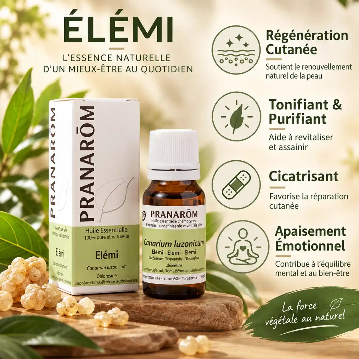 Huile Essentielle d'Elémi Pranarom - Régénération cutanée, tonifiante et cicatrisante