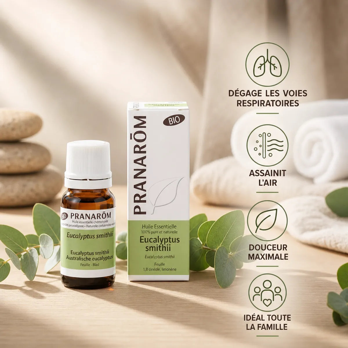 Huile essentielle Eucalyptus smithii Pranarom bio avec ses bénéfits respiratoires et assainissants illustrés
