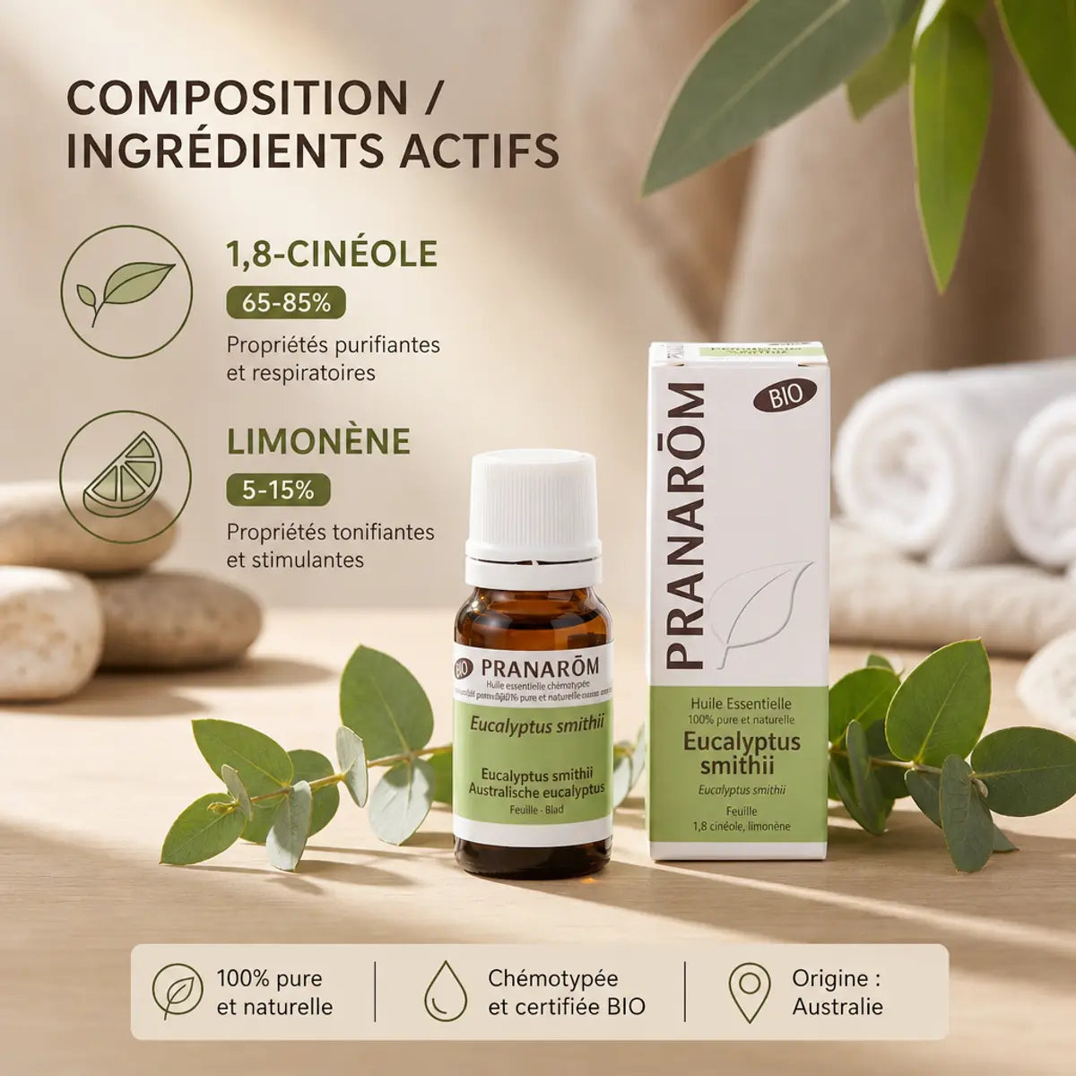 Huile essentielle Eucalyptus smithii bio Pranarom avec composition active et feuilles fraîches
