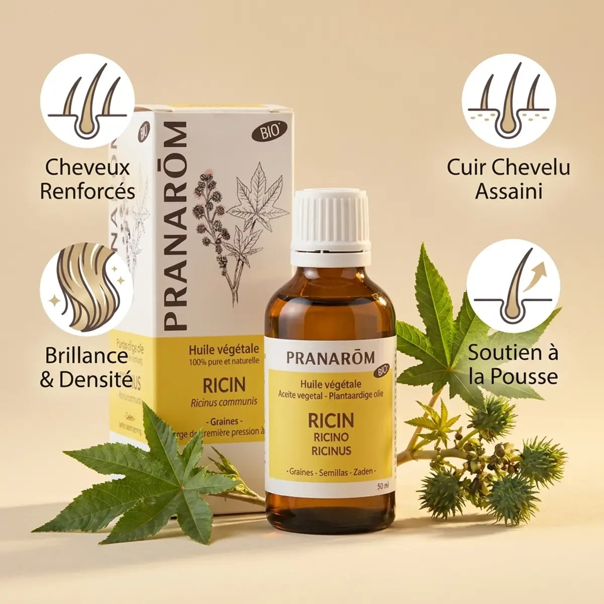 Huile ricin bio Pranarom avec infographie bénéfices cheveux renforcés et brillance