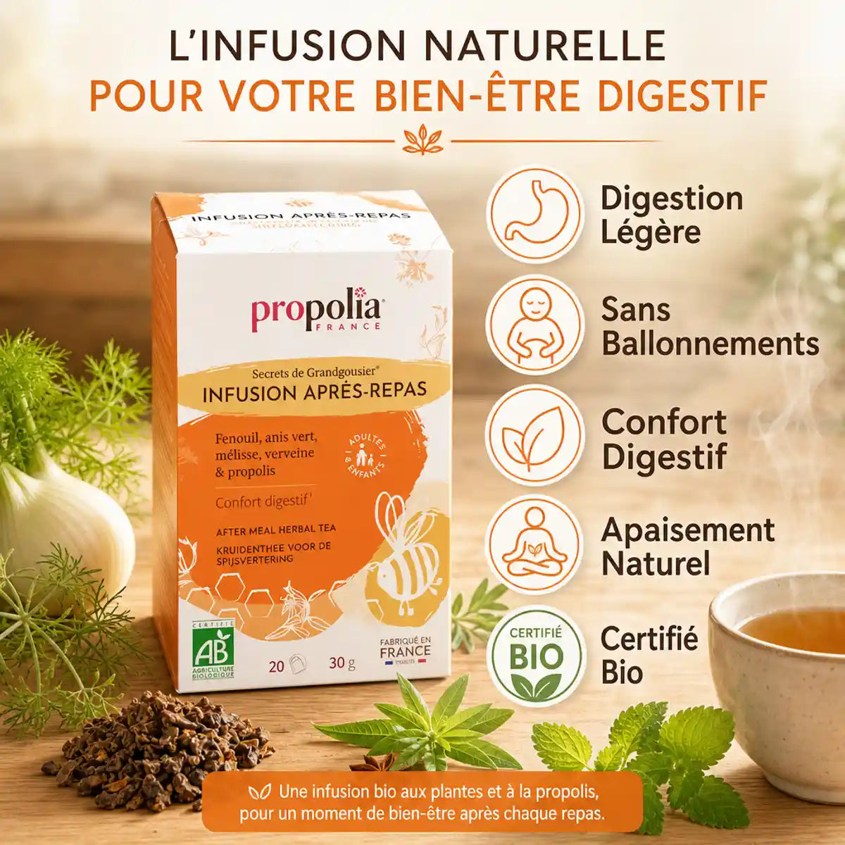 Infusion bio Propolia après-repas avec bénéfices digestion, sans ballonnements et confort naturel certifié