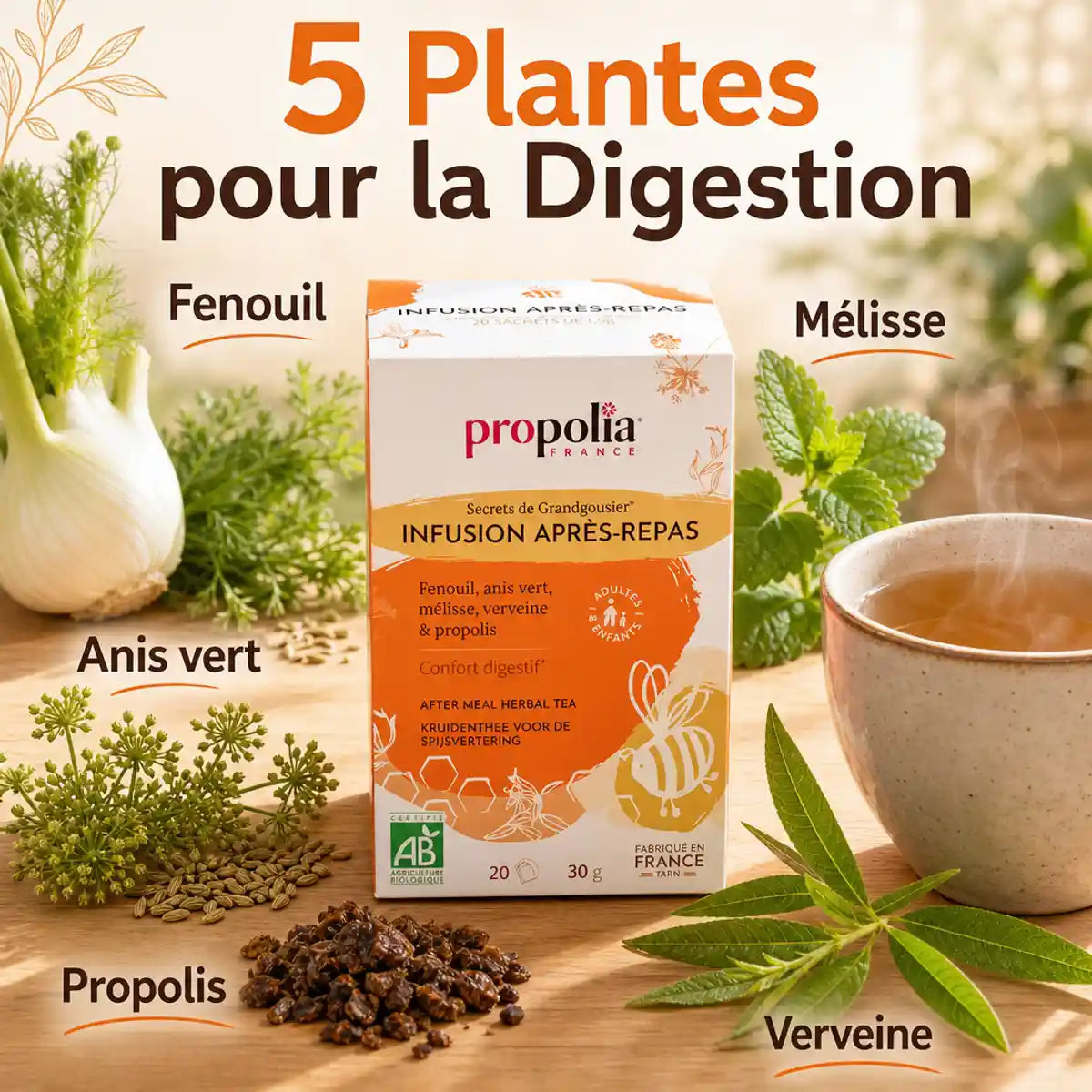 Infusion après-repas bio Propolia avec fenouil, anis vert, mélisse et verveine pour la digestion