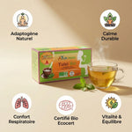 Infusion Tulsi Bio Ayurvana avec bénéfices adaptogène, calme et vitalité certifiés